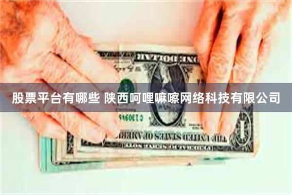 股票平台有哪些 陕西呵哩嘛嚓网络科技有限公司