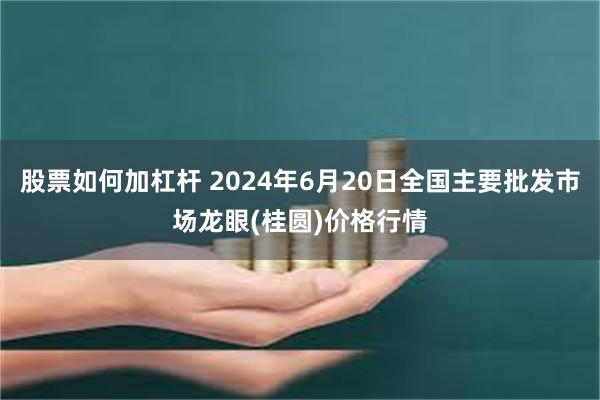 股票如何加杠杆 2024年6月20日全国主要批发市场龙眼(桂圆)价格行情