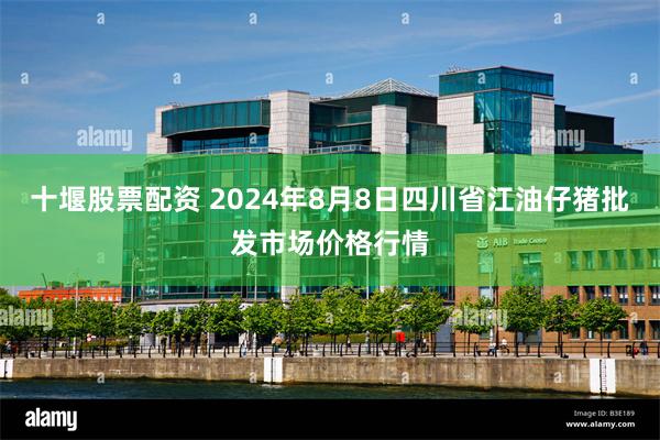 十堰股票配资 2024年8月8日四川省江油仔猪批发市场价格行情