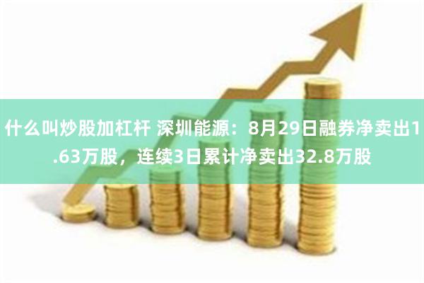 什么叫炒股加杠杆 深圳能源：8月29日融券净卖出1.63万股，连续3日累计净卖出32.8万股