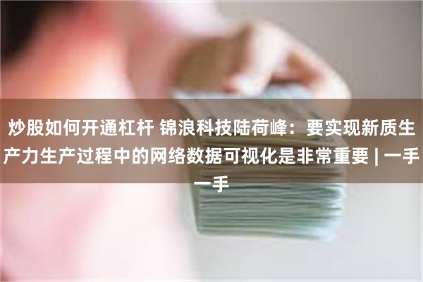 炒股如何开通杠杆 锦浪科技陆荷峰：要实现新质生产力生产过程中的网络数据可视化是非常重要 | 一手