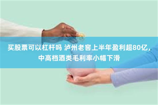 买股票可以杠杆吗 泸州老窖上半年盈利超80亿，中高档酒类毛利率小幅下滑