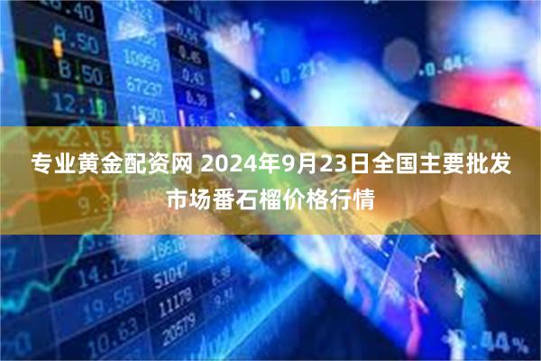 专业黄金配资网 2024年9月23日全国主要批发市场番石榴价格行情