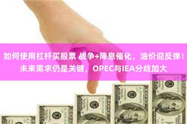 如何使用杠杆买股票 战争+降息催化，油价迎反弹！未来需求仍是关键，OPEC与IEA分歧加大