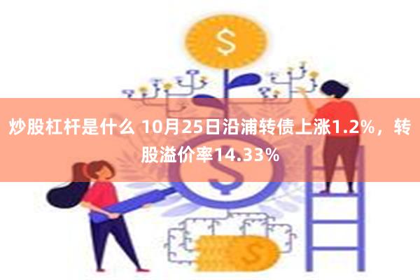 炒股杠杆是什么 10月25日沿浦转债上涨1.2%，转股溢价率14.33%