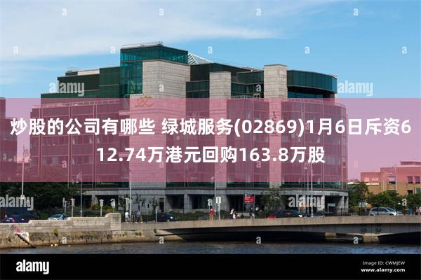 炒股的公司有哪些 绿城服务(02869)1月6日斥资612.74万港元回购163.8万股