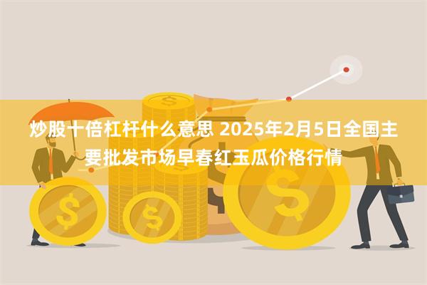 炒股十倍杠杆什么意思 2025年2月5日全国主要批发市场早春红玉瓜价格行情