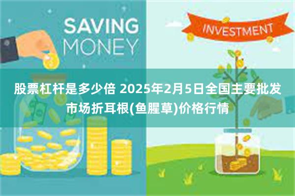 股票杠杆是多少倍 2025年2月5日全国主要批发市场折耳根(鱼腥草)价格行情