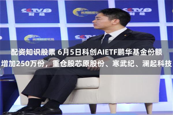 配资知识股票 6月5日科创AIETF鹏华基金份额增加250万份，重仓股芯原股份、寒武纪、澜起科技