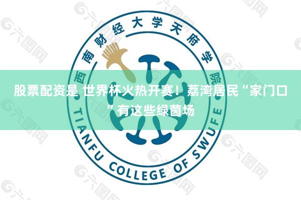 股票配资是 世界杯火热开赛！荔湾居民“家门口”有这些绿茵场