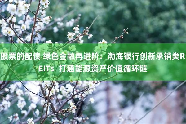 股票的配债 绿色金融再进阶：渤海银行创新承销类REITs  打通能源资产价值循环链