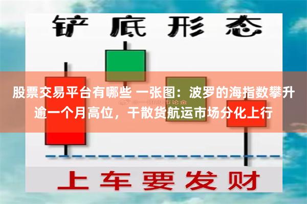 股票交易平台有哪些 一张图：波罗的海指数攀升逾一个月高位，干散货航运市场分化上行