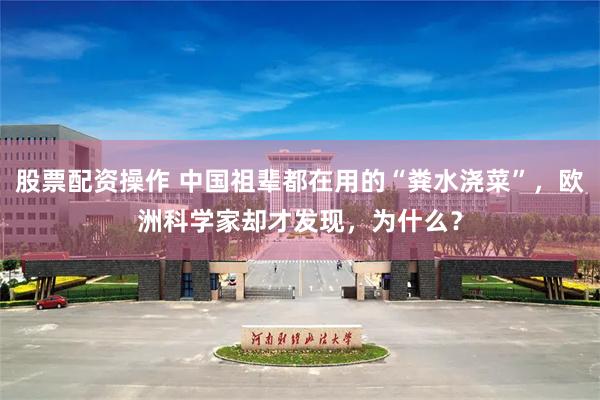股票配资操作 中国祖辈都在用的“粪水浇菜”，欧洲科学家却才发现，为什么？