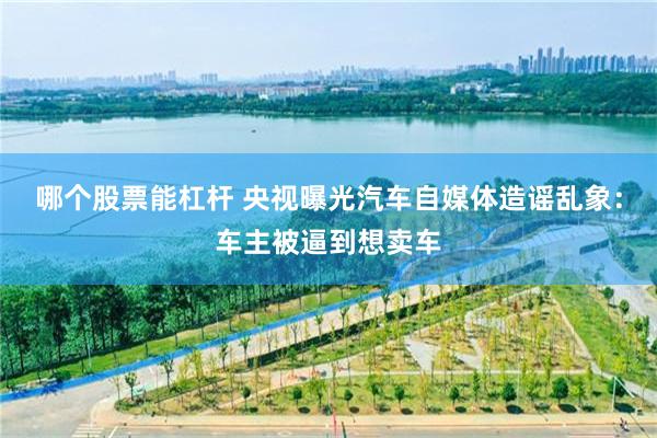 哪个股票能杠杆 央视曝光汽车自媒体造谣乱象：车主被逼到想卖车