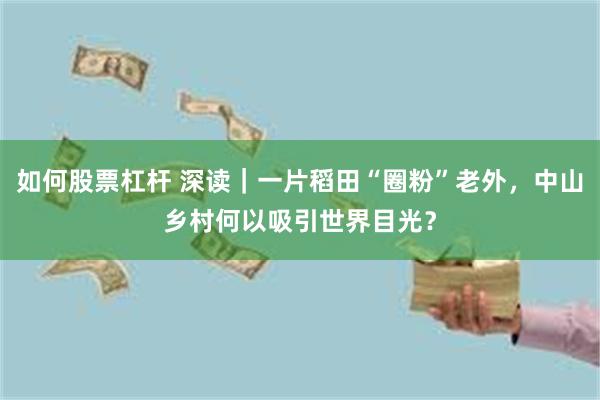 如何股票杠杆 深读｜一片稻田“圈粉”老外，中山乡村何以吸引世界目光？